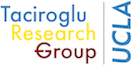 Taciroglu Research Group